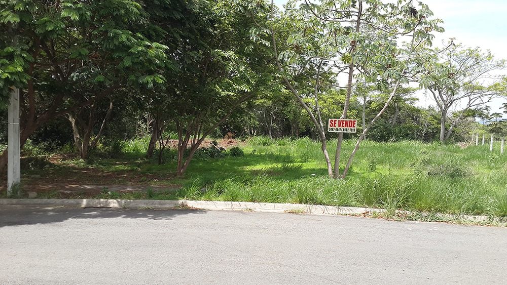 Amplio Lote rodeado de zonas verdes en La Garita #1004