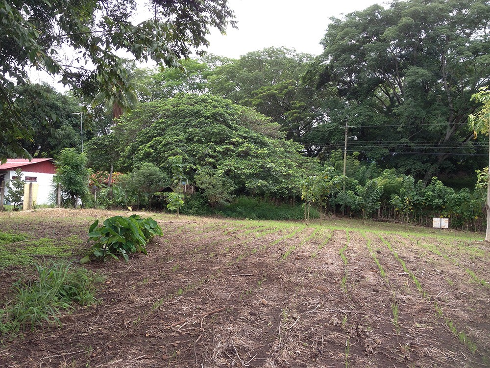 Lotes en San Jerónimo de Coyolar, Alajuela, carretera Orotina – Jacó, con doble frente #1021